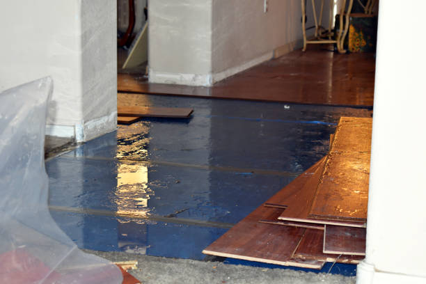 Professional Water Damage Restoration technician working in Campbell, FL
